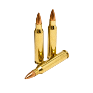 223 Remington/5.56